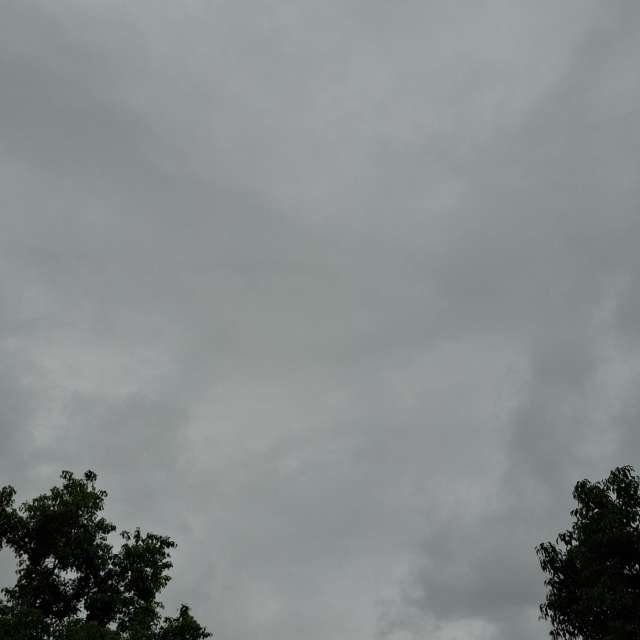 Steam. Weather forecasts with beautiful photos by Wen-ya Huang Photos in World