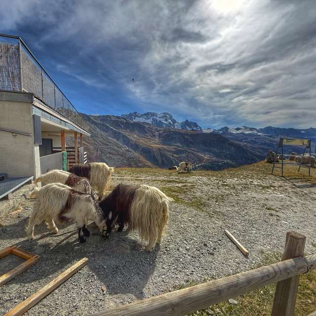 AntoninoMistretta द्वारा खूबसूरत तस्वीरों के साथ मौसम का पूर्वानुमान