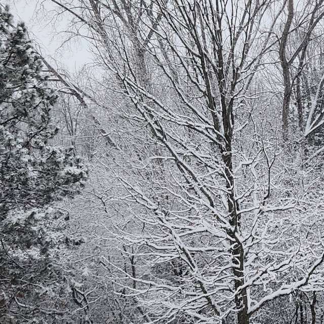 Wettervorhersagen mit schönen Fotos von KevinG