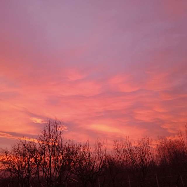 Weather forecasts with beautiful photos by Atakancry