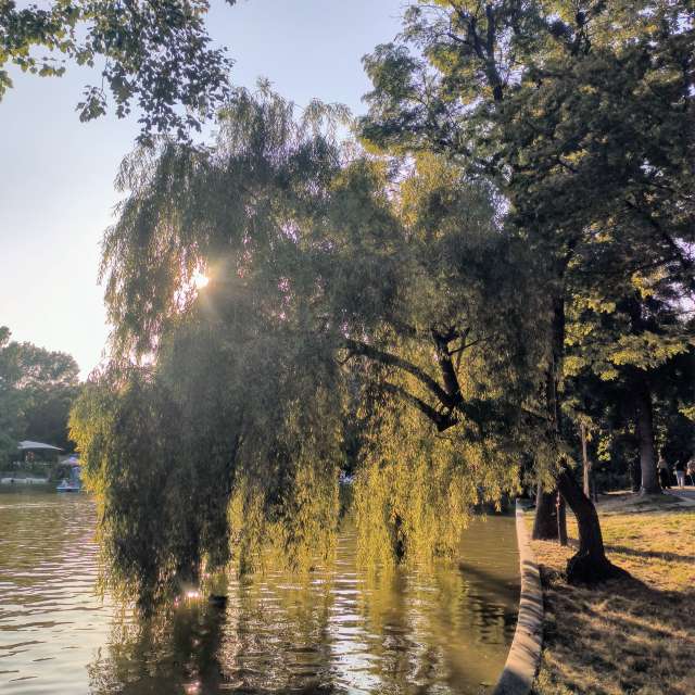 Fotos sobre el clima en Mundo. Pronósticos del tiempo con hermosas fotos de YanBog
