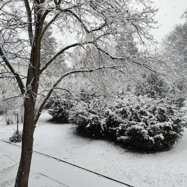 Previsões do tempo com lindas fotos de Oleg1961
