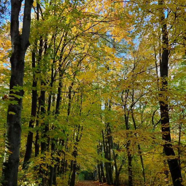 Weather forecasts with beautiful photos by Romek58