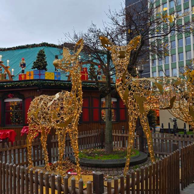 Seniの美しい写真による天気予報