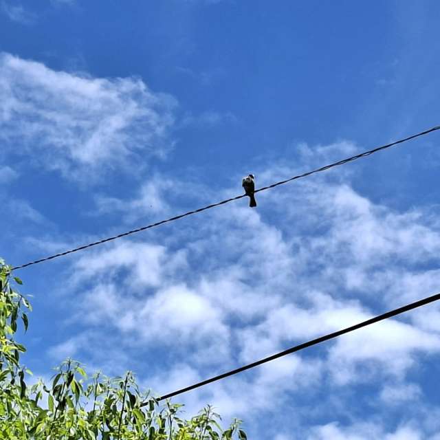 Sign. Weather forecasts with beautiful photos by Wen-ya Huang Photos in Kaohsiung City
