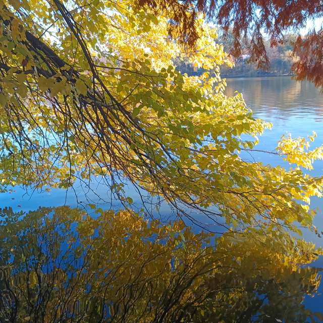 Fotos sobre el clima en Mundo. Pronósticos del tiempo con hermosas fotos de YanBog