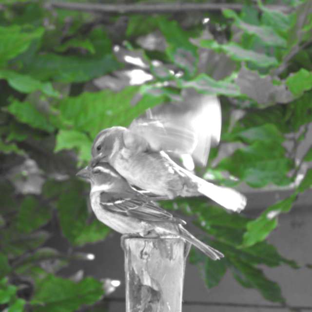 天气预报，带Step_Gently精美的照片