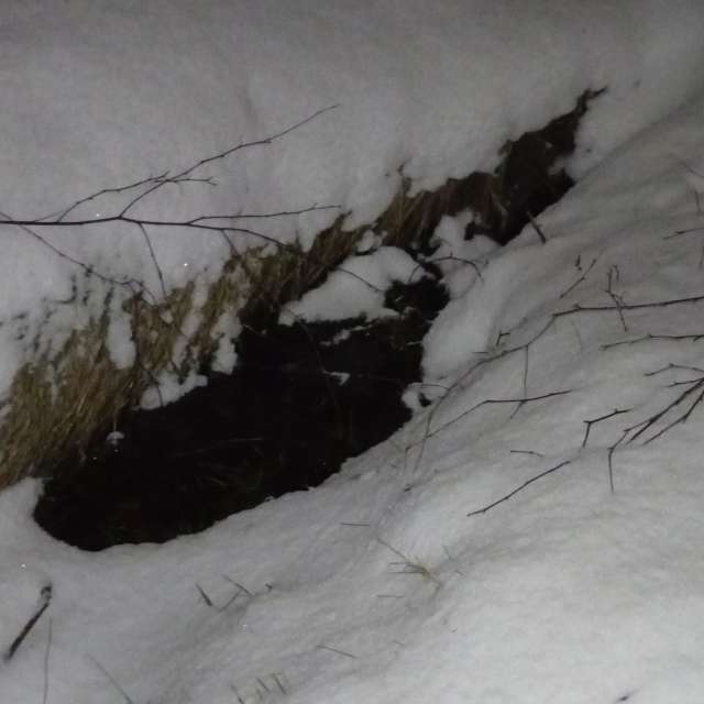 Pronósticos del tiempo con hermosas fotos de Kiki248