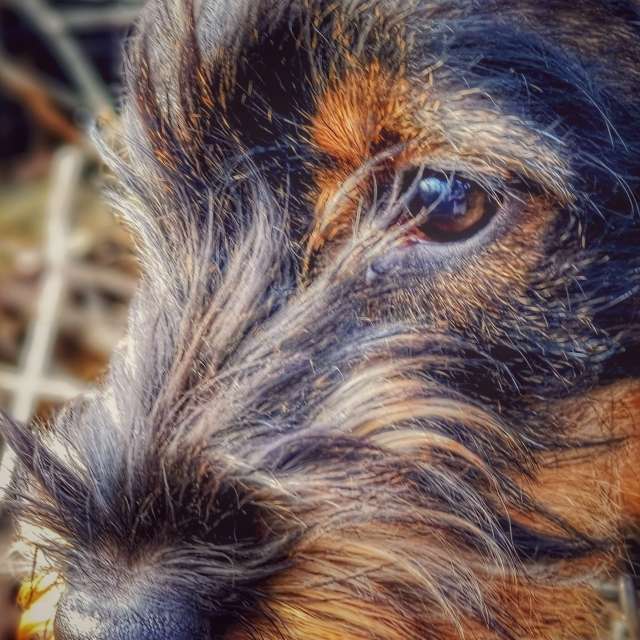 Weather forecasts with beautiful photos by Gweiland