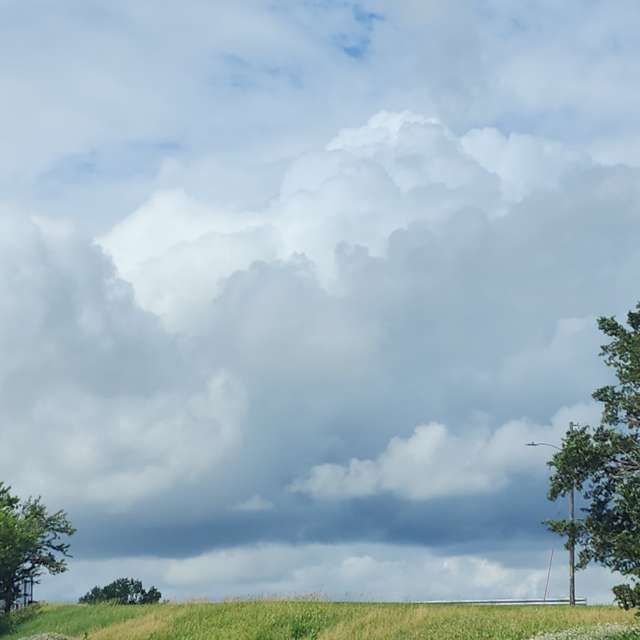 Spring. Weather forecasts with beautiful photos by MzCoopDzl Photos in World