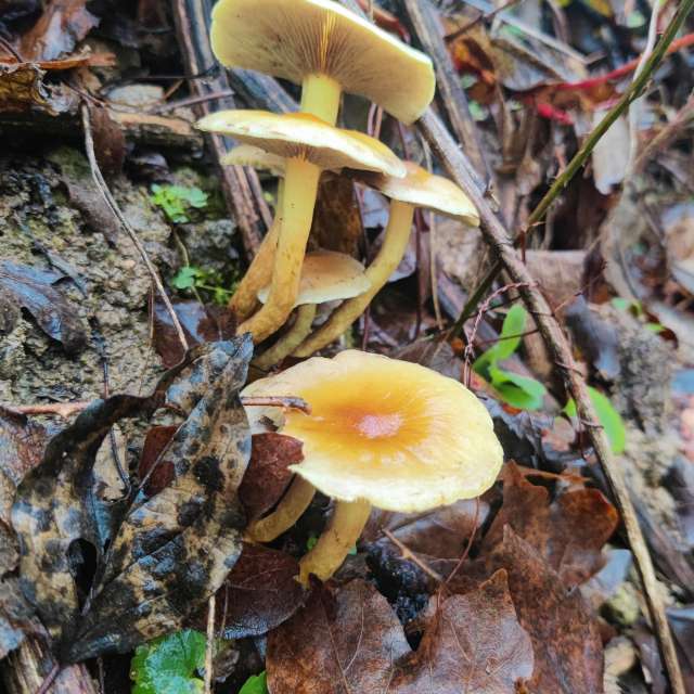 Eating. Weather forecasts with beautiful photos by Hillfather Photos in World