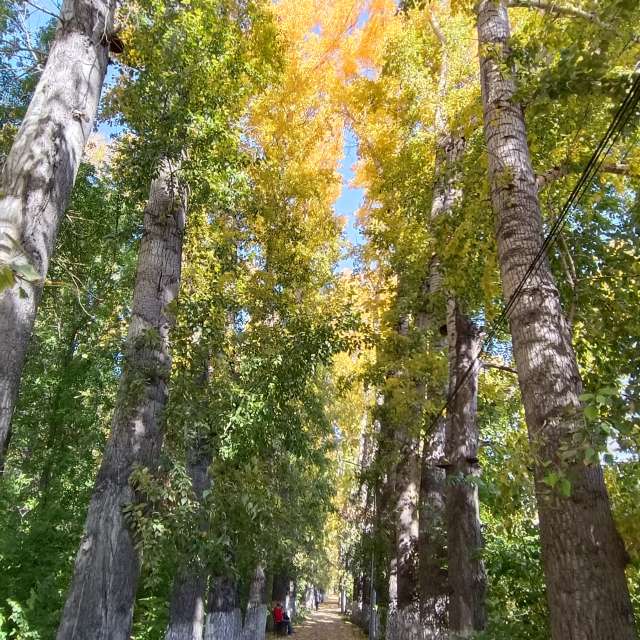 Fotos Abordado. Previsões do tempo com lindas fotos de ЮлЯШа em Gorodckoy Pliazh V Parke "Samal"