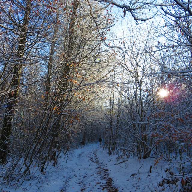 Weather forecasts with beautiful photos by MariePhotos