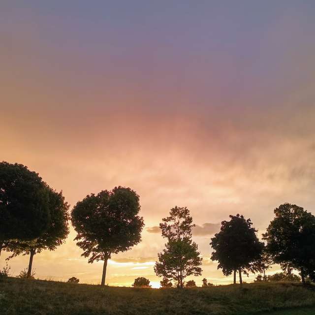 Weather forecasts with beautiful photos by Kripo
