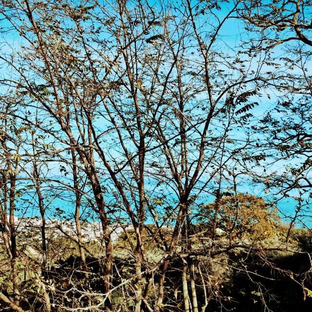 Weather forecasts with beautiful photos by Bistef68