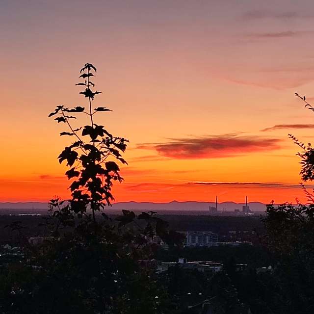 Weather Photos in World. Weather forecasts with beautiful photos by Tercis