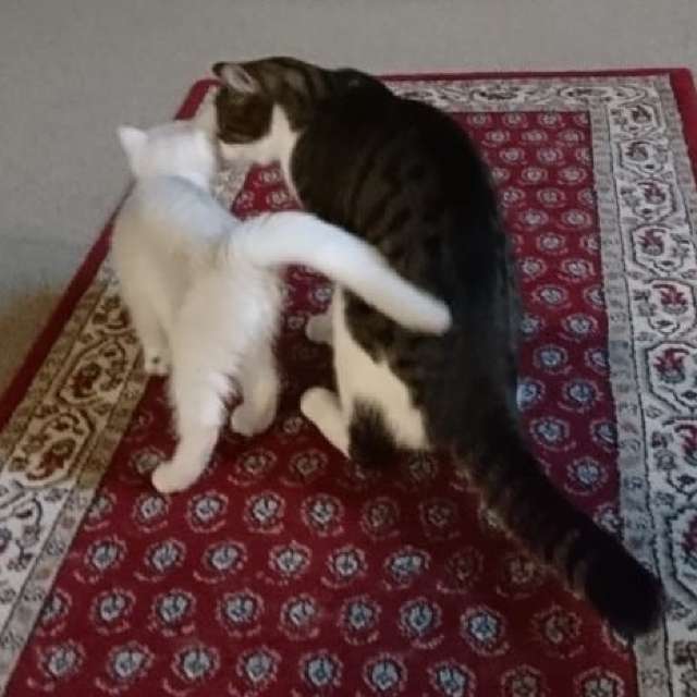 Weather forecasts with beautiful photos by aida-khaldi