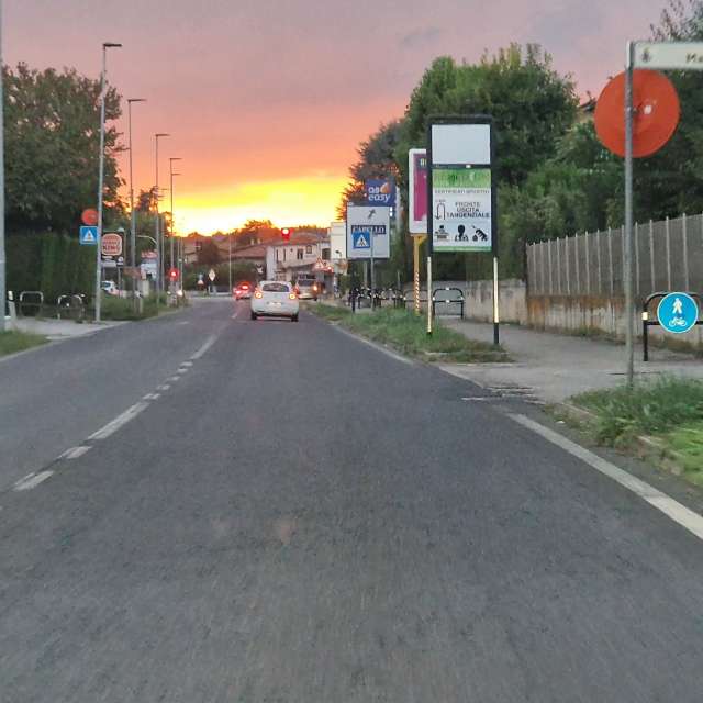 天气预报，带loris-b精美的照片