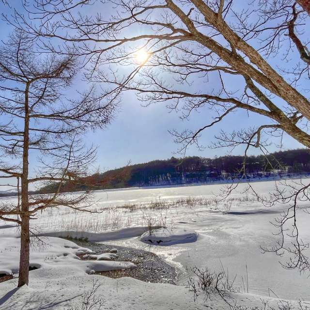 Прогнозы погоды с чудесными фотографиями, сделанными Kasumisou