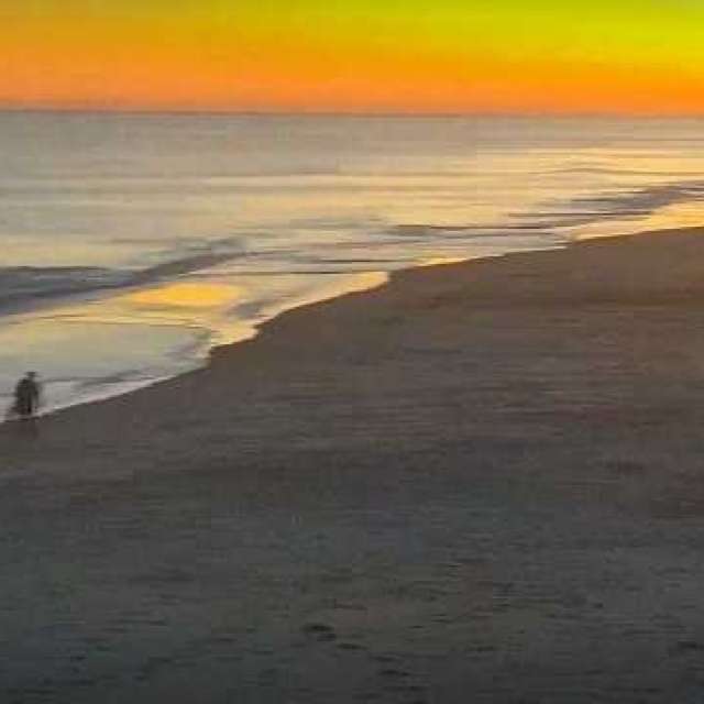 天气预报，带Awcat精美的照片