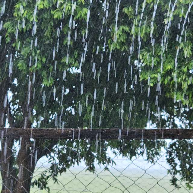 Enclosure. Weather forecasts with beautiful photos by Fernando Rodrigues Dos Santos Photos in World