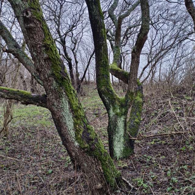 Gorod Svetlogorsk的Weather. 天气预报，带Михаил Бондаренко精美的照片照片