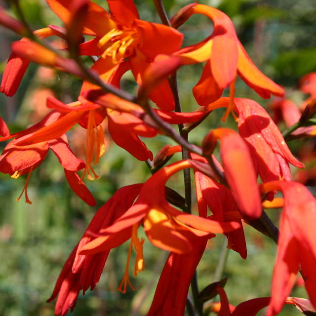 Large. Weather forecasts with beautiful photos by LarNa Photos in Moscow