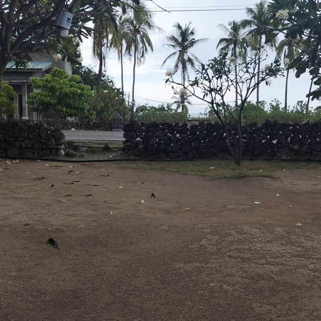 Weather forecasts with beautiful photos by Buce-Elimanafe