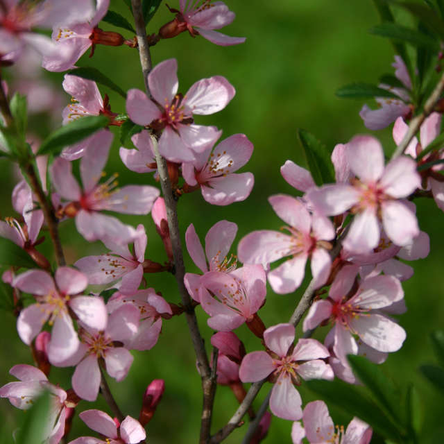 Table. Weather forecasts with beautiful photos by LarNa Photos in Moscow