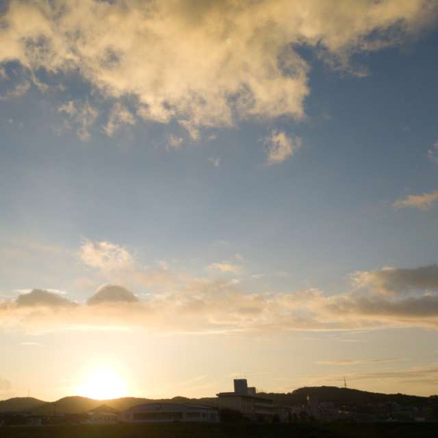 Sheep. Weather forecasts with beautiful photos by あさのジジ Photos in Okayama