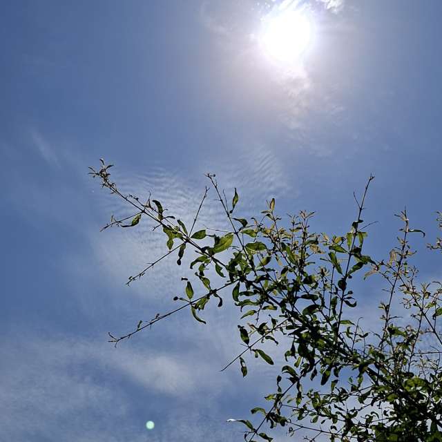 Flock. Weather forecasts with beautiful photos by Wen-ya Huang Photos in Kaohsiung City