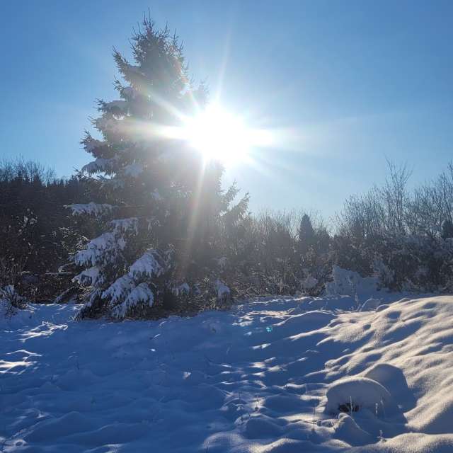 Pronósticos del tiempo con hermosas fotos de Tinch85