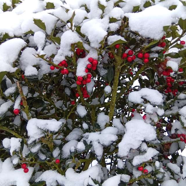 Pronósticos del tiempo con hermosas fotos de Kiki248