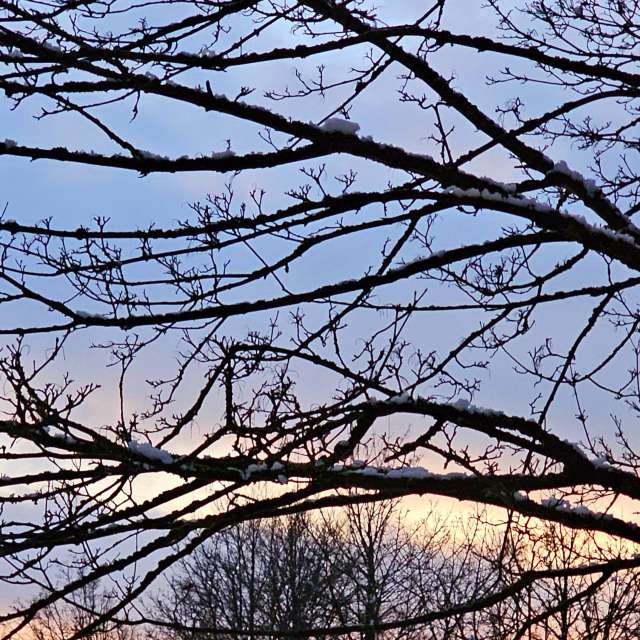 Tower. Weather forecasts with beautiful photos by Seni Photos in Velbert