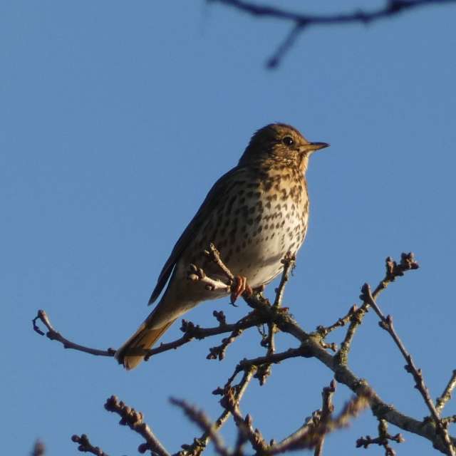 Фотографии Погоды в Мир. Прогнозы погоды с чудесными фотографиями, сделанными fwerner