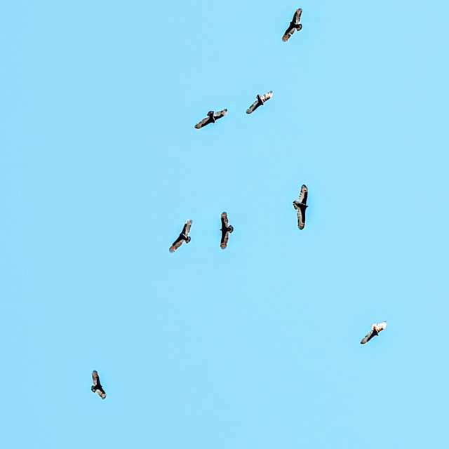 Weather forecasts with beautiful photos by boilerdude