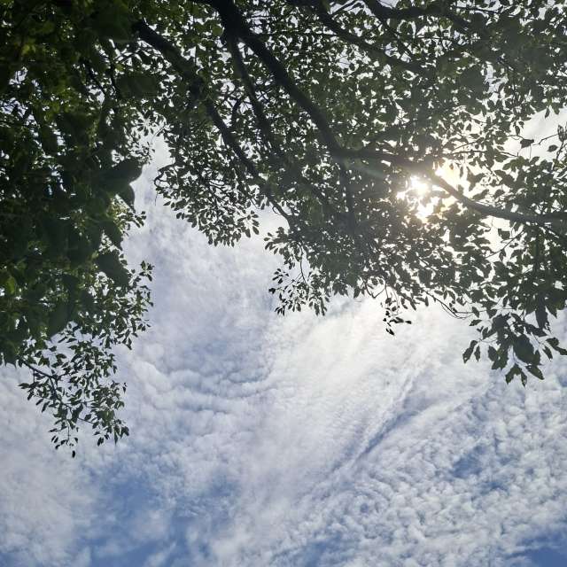 Fotos Cavalgando. Previsões do tempo com lindas fotos de Wen-ya Huang em Kaohsiung City