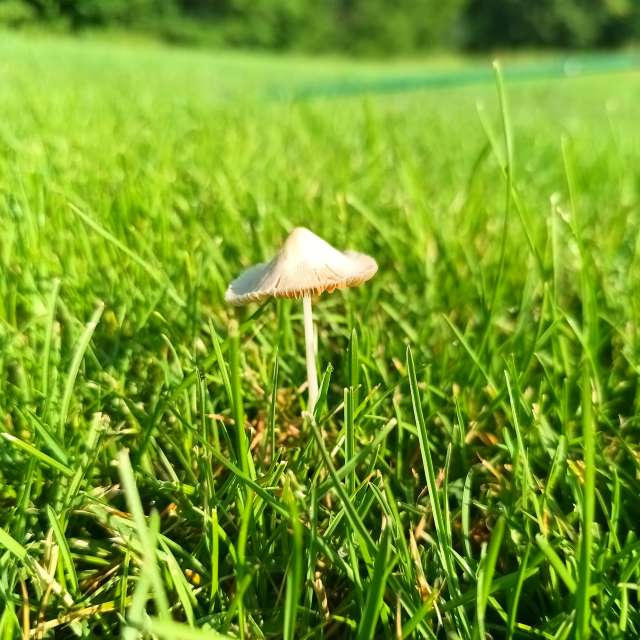 Hoch. Wettervorhersagen mit schönen Fotos von Kripo Fotos Niederösterreich