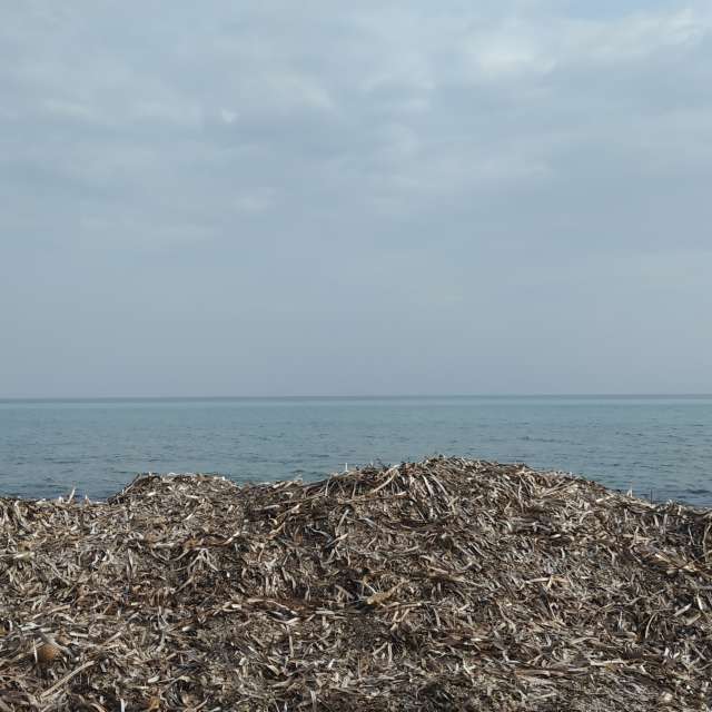 Weather forecasts with beautiful photos by Siulasem