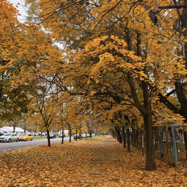 Previsões do tempo com lindas fotos de Elena Chayka