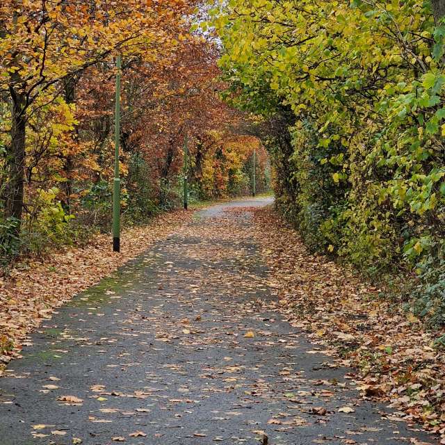 Wettervorhersagen mit schönen Fotos von wsantosphotos