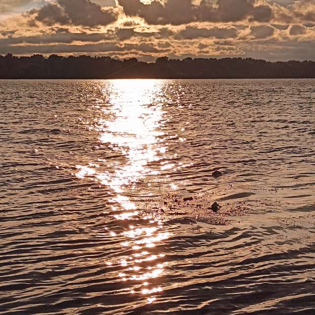 天气预报，带Michael_1969精美的照片