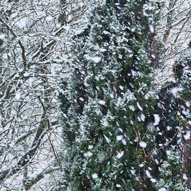 Fotos Trilha. Previsões do tempo com lindas fotos de Seni em Velbert