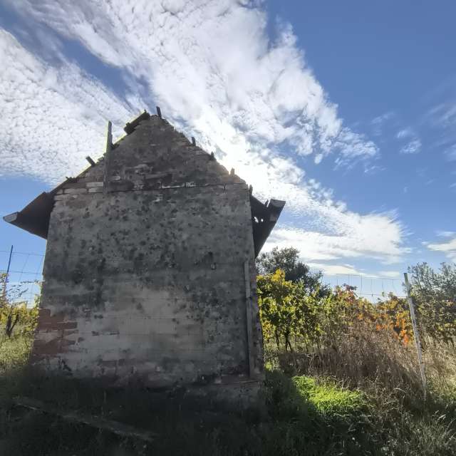 Photos météo à Monde. Prévisions météo avec de superbes photos de ZloBr