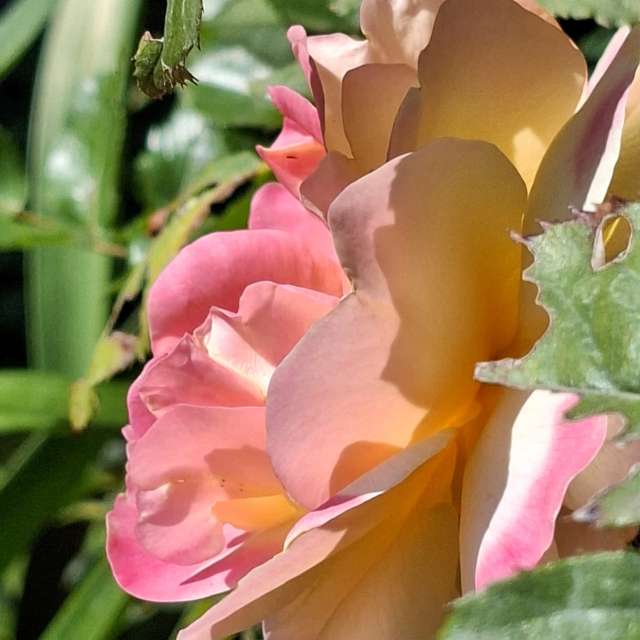 Filling. Weather forecasts with beautiful photos by Wen-ya Huang Photos in Kaohsiung City