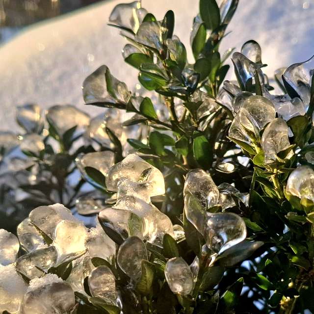 Weather forecasts with beautiful photos by Iryna