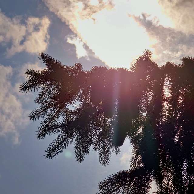 Fotos Palma. Previsões do tempo com lindas fotos de Seni em Velbert