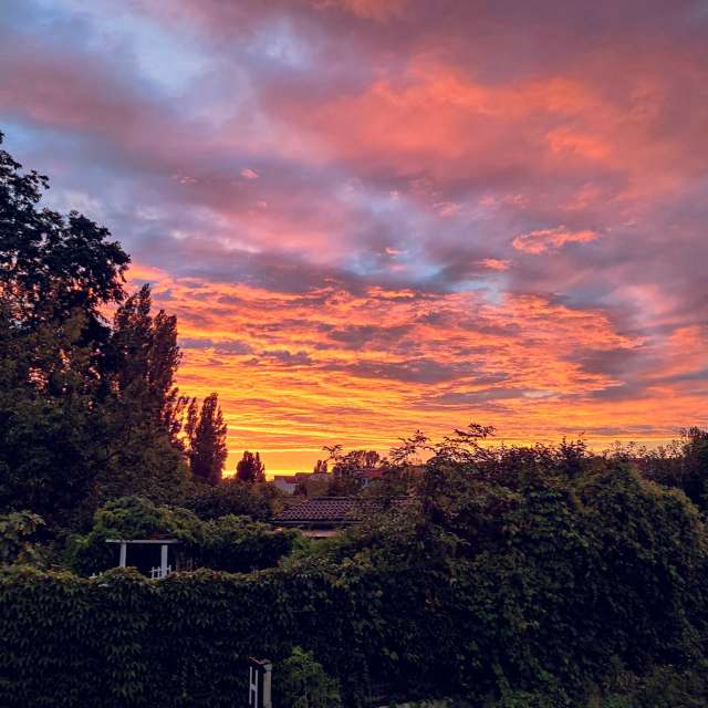 世界的天气照片. 天气预报，带Zorrra精美的照片