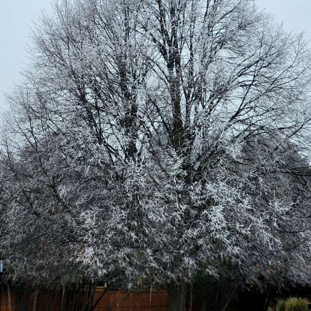 Wettervorhersagen mit schönen Fotos von KevinG