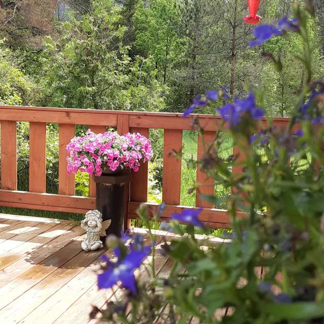 Standing. Weather forecasts with beautiful photos by ccdn0630 Photos in Barrie